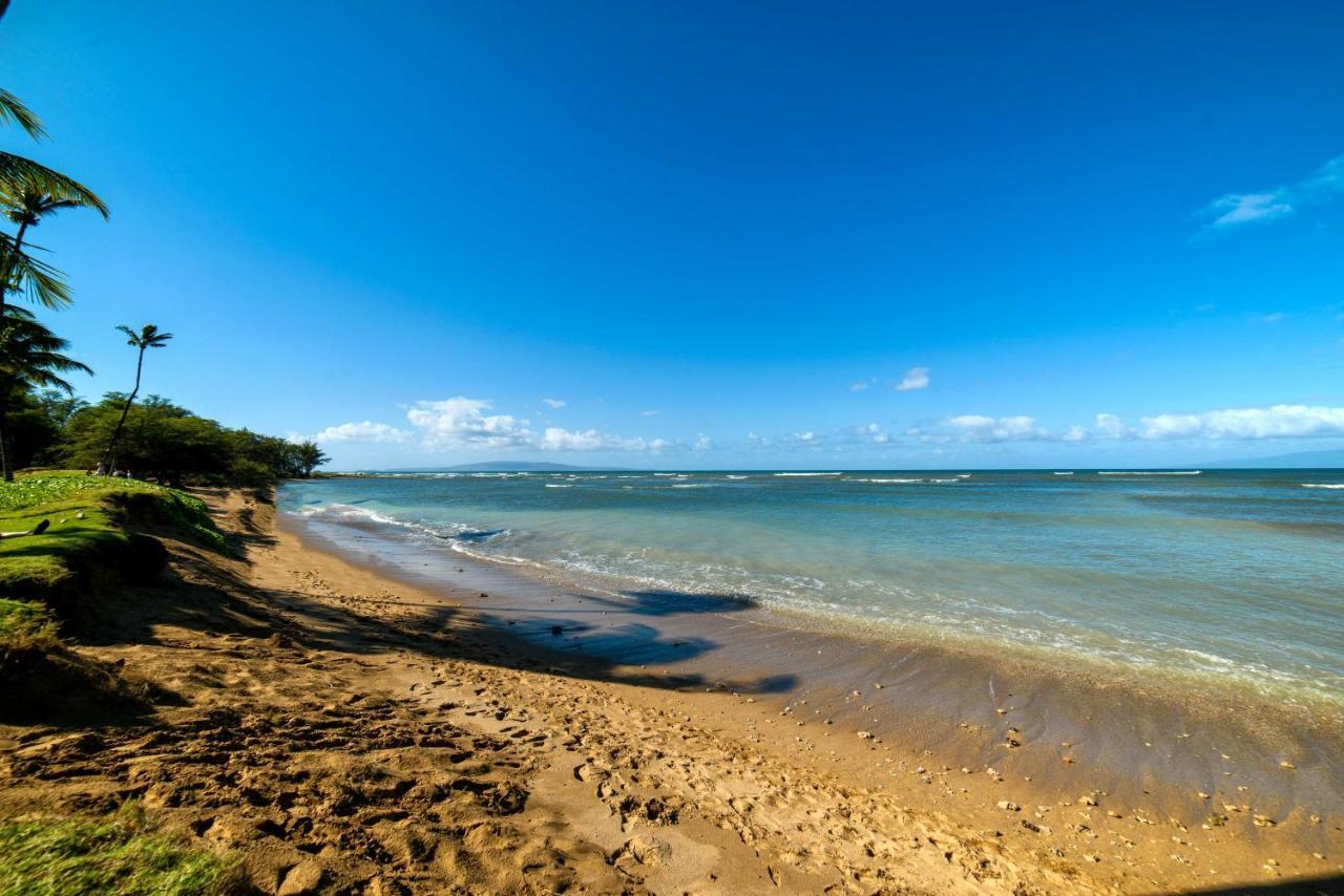 Gorgeous Oceanfront Condo With Spectacular Views! คิเฮอิ ภายนอก รูปภาพ